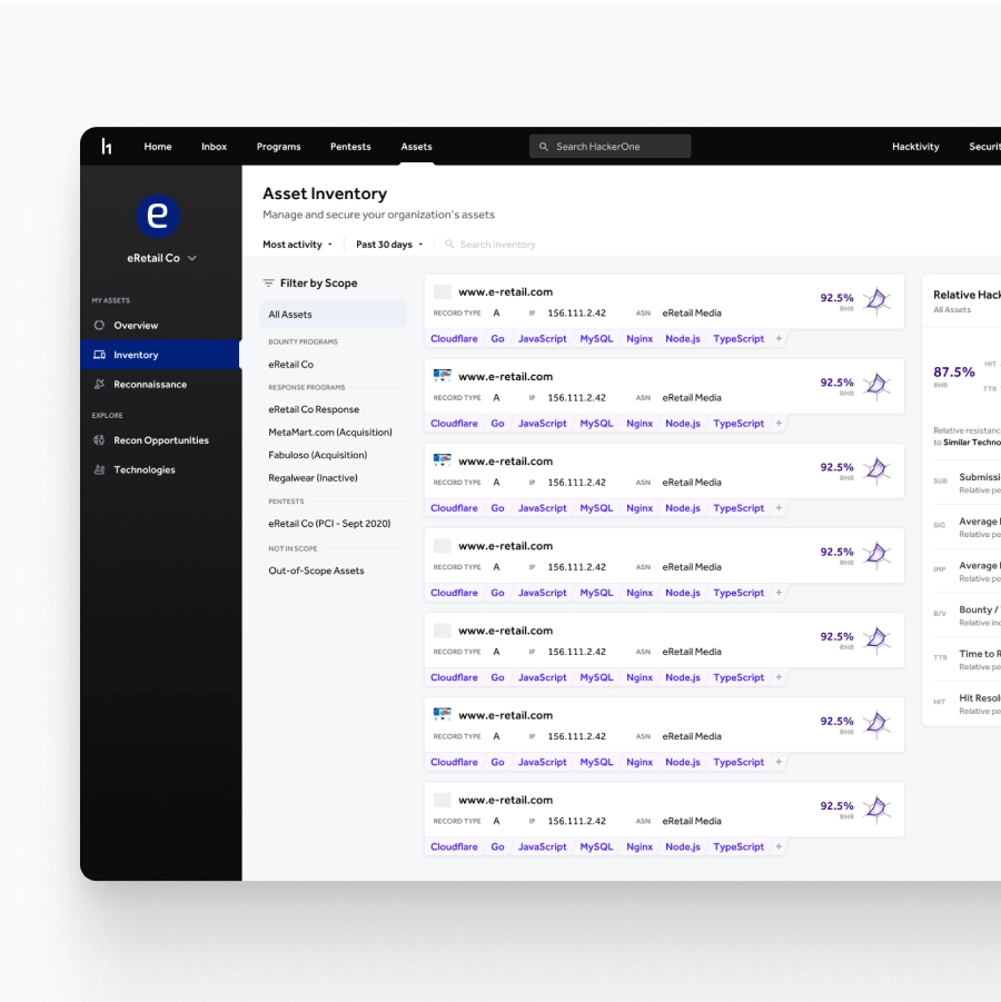 Pentests and Attacker Resistance Through Hacker Power screenshot 4